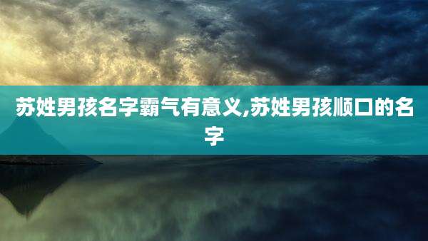 苏姓男孩名字霸气有意义,苏姓男孩顺口的名字