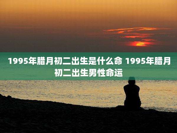 1995年腊月初二出生是什么命 1995年腊月初二出生男性命运