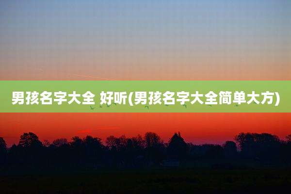 男孩名字大全 好听(男孩名字大全简单大方)