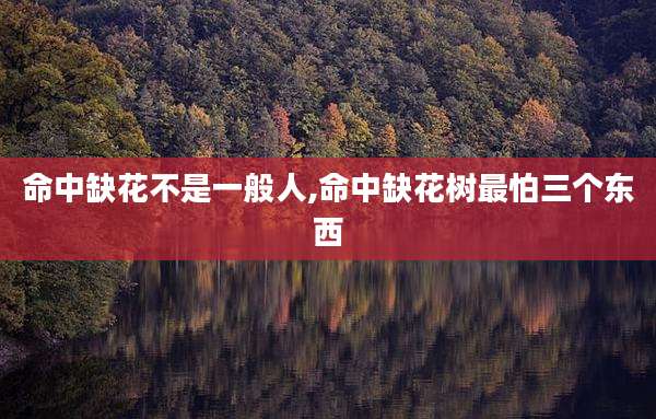 命中缺花不是一般人,命中缺花树最怕三个东西
