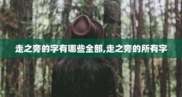 走之旁的字有哪些全部,走之旁的所有字