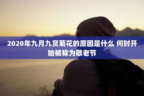 2020年九月九赏菊花的原因是什么 何时开始被称为敬老节