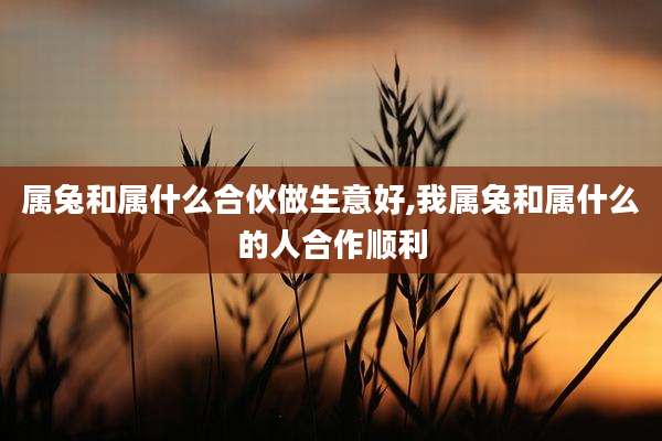 属兔和属什么合伙做生意好,我属兔和属什么的人合作顺利