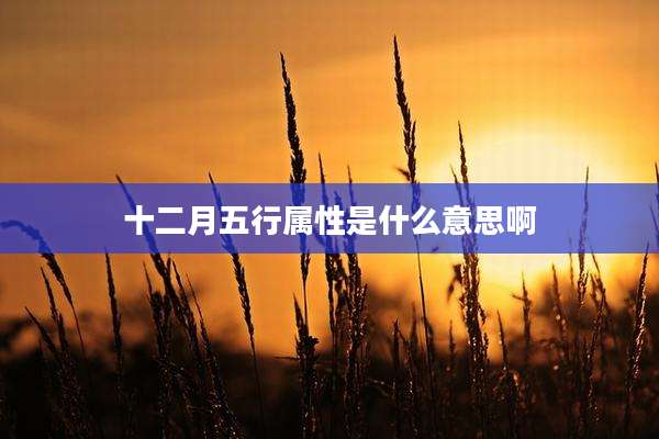 十二月五行属性是什么意思啊