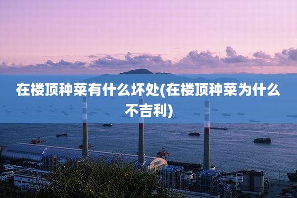 在楼顶种菜有什么坏处(在楼顶种菜为什么不吉利)