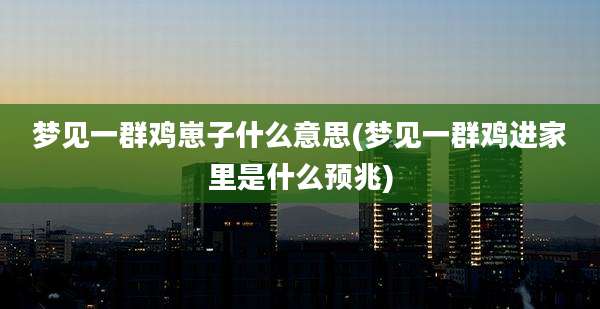 梦见一群鸡崽子什么意思(梦见一群鸡进家里是什么预兆)