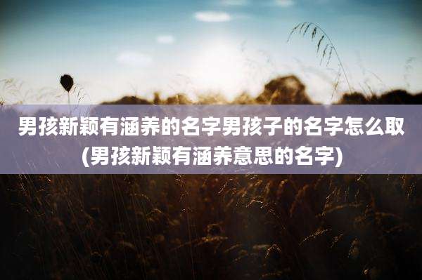 男孩新颖有涵养的名字男孩子的名字怎么取(男孩新颖有涵养意思的名字)