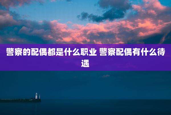 警察的配偶都是什么职业 警察配偶有什么待遇