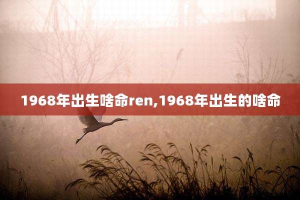 1968年出生啥命ren,1968年出生的啥命