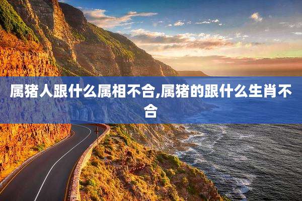 属猪人跟什么属相不合,属猪的跟什么生肖不合