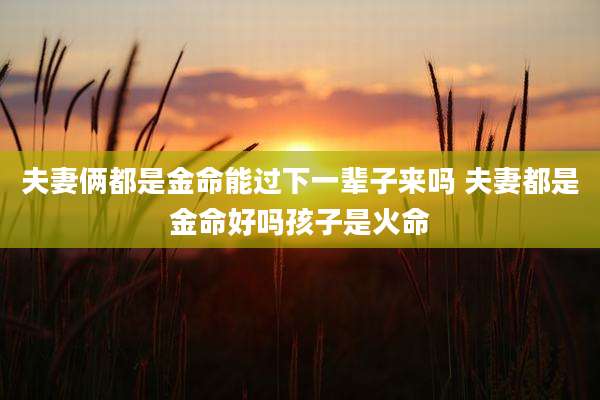 夫妻俩都是金命能过下一辈子来吗 夫妻都是金命好吗孩子是火命