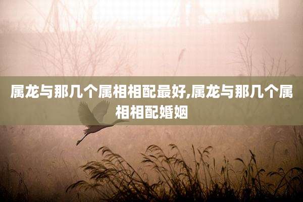 属龙与那几个属相相配最好,属龙与那几个属相相配婚姻