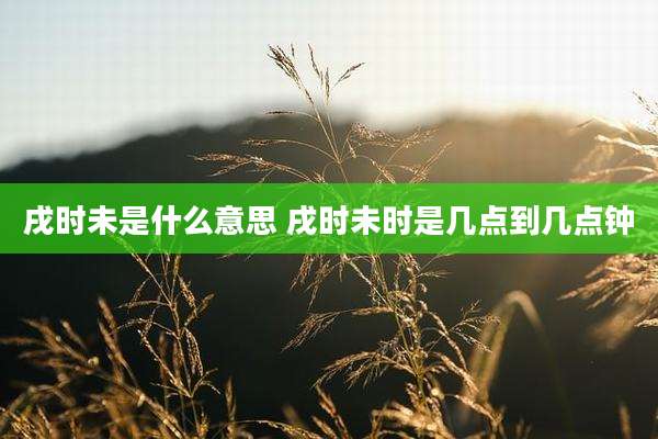 戌时未是什么意思 戌时未时是几点到几点钟