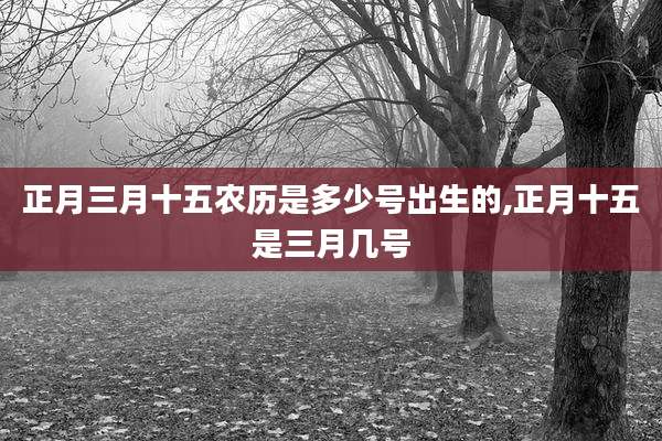 正月三月十五农历是多少号出生的,正月十五是三月几号
