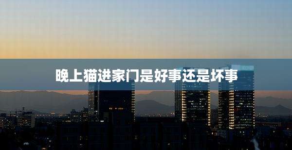 晚上猫进家门是好事还是坏事
