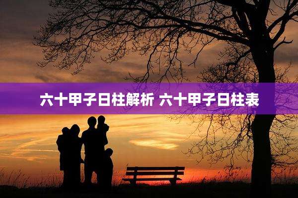 六十甲子日柱解析 六十甲子日柱表
