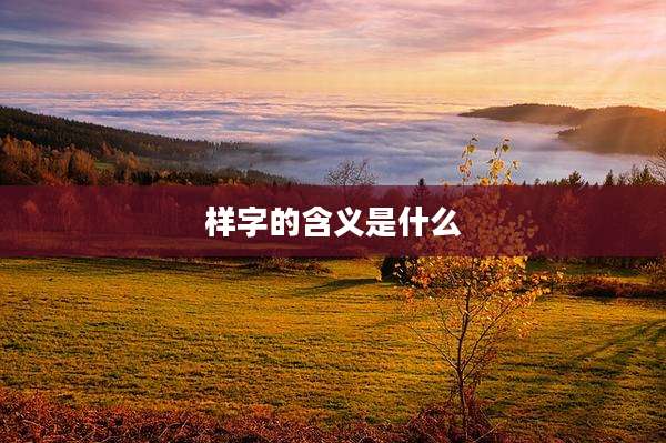 样字的含义是什么