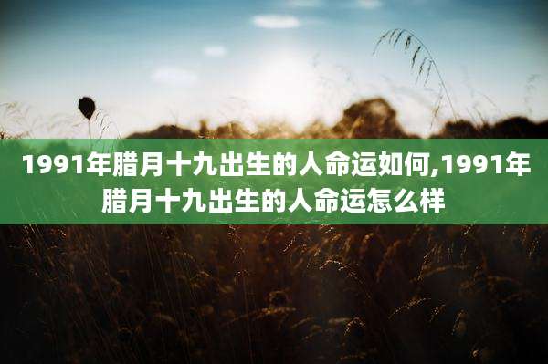 1991年腊月十九出生的人命运如何,1991年腊月十九出生的人命运怎么样