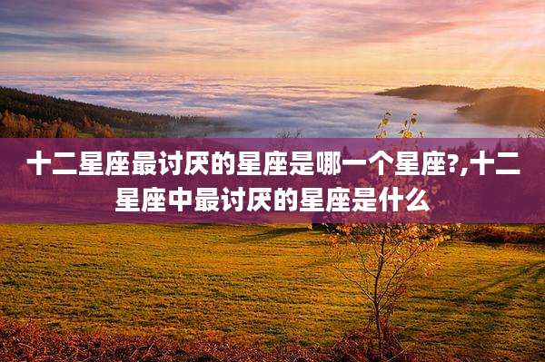十二星座最讨厌的星座是哪一个星座?,十二星座中最讨厌的星座是什么