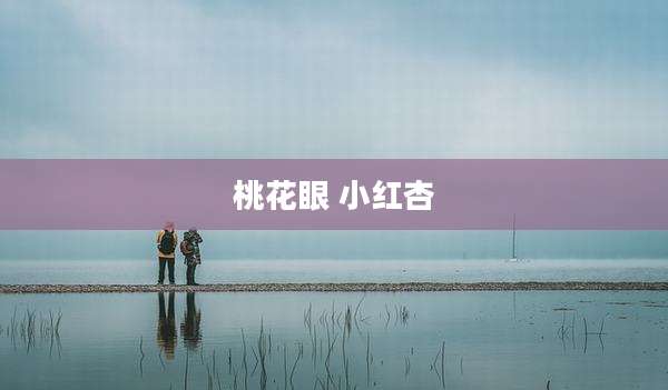 桃花眼 小红杏