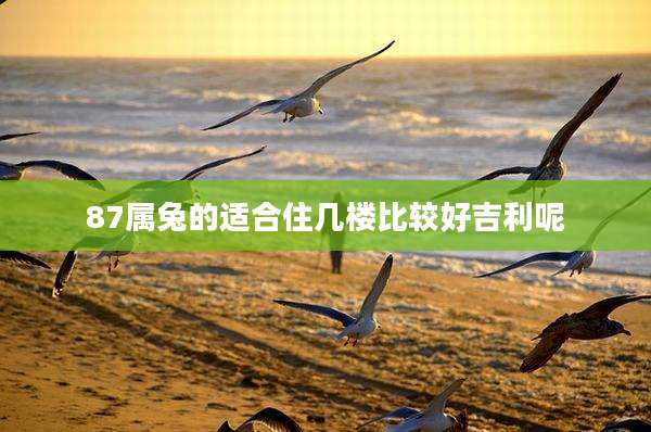 87属兔的适合住几楼比较好吉利呢