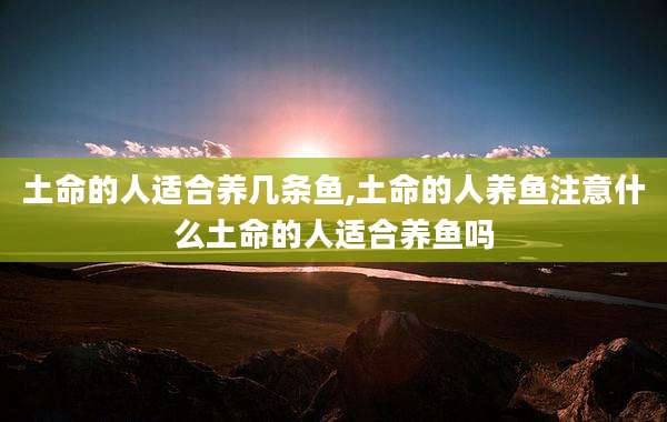 土命的人适合养几条鱼,土命的人养鱼注意什么土命的人适合养鱼吗