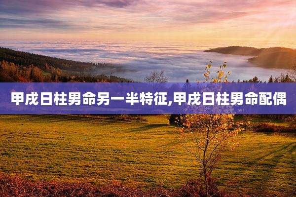 甲戌日柱男命另一半特征,甲戌日柱男命配偶