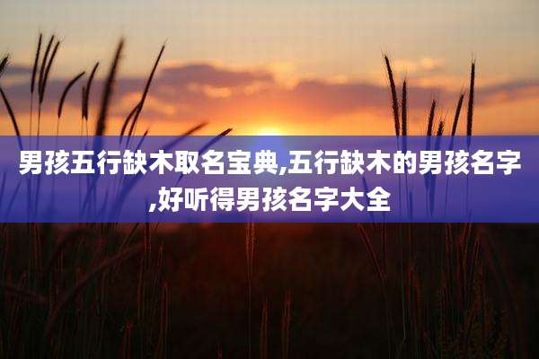 男孩五行缺木取名宝典,五行缺木的男孩名字,好听得男孩名字大全