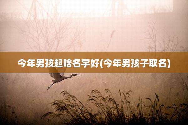 今年男孩起啥名字好(今年男孩子取名)