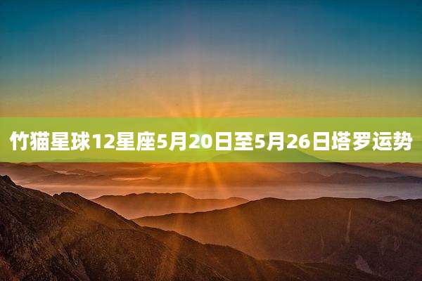 竹猫星球12星座5月20日至5月26日塔罗运势