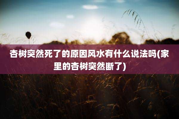 杏树突然死了的原因风水有什么说法吗(家里的杏树突然断了)