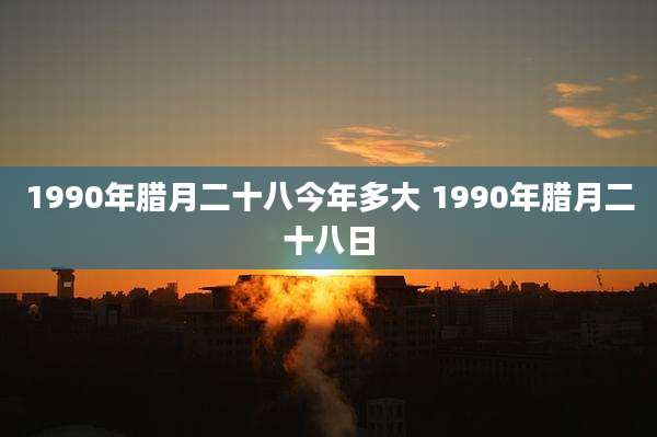 1990年腊月二十八今年多大 1990年腊月二十八日