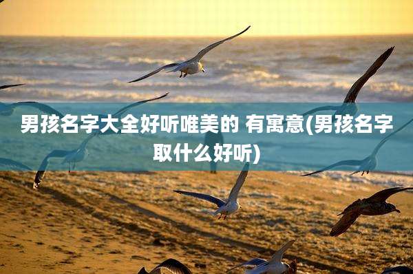 男孩名字大全好听唯美的 有寓意(男孩名字取什么好听)