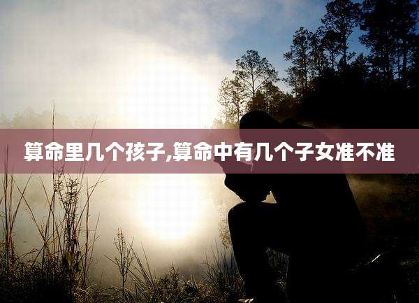 算命里几个孩子,算命中有几个子女准不准
