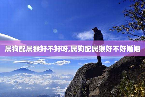 属狗配属猴好不好呀,属狗配属猴好不好婚姻