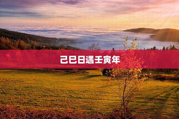 己巳日遇壬寅年