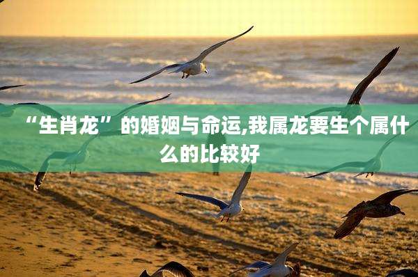 “生肖龙”的婚姻与命运,我属龙要生个属什么的比较好