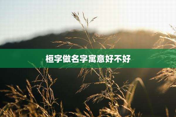 桓字做名字寓意好不好