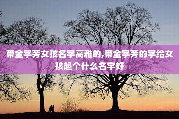 带金字旁女孩名字高雅的,带金字旁的字给女孩起个什么名字好