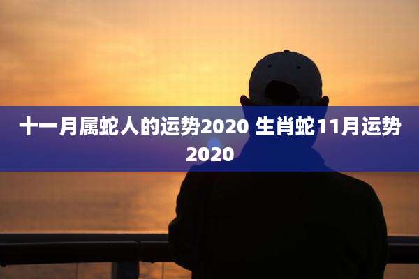 十一月属蛇人的运势2020 生肖蛇11月运势2020
