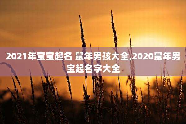 2021年宝宝起名 鼠年男孩大全,2020鼠年男宝起名字大全