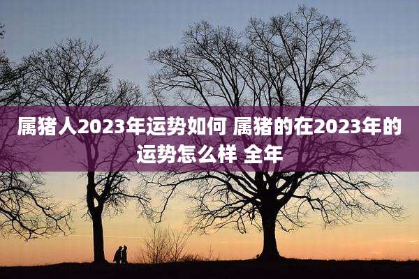 属猪人2023年运势如何 属猪的在2023年的运势怎么样 全年