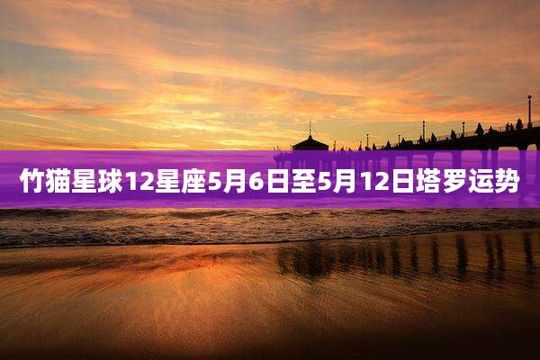 竹猫星球12星座5月6日至5月12日塔罗运势
