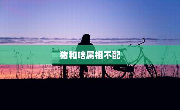 猪和啥属相不配