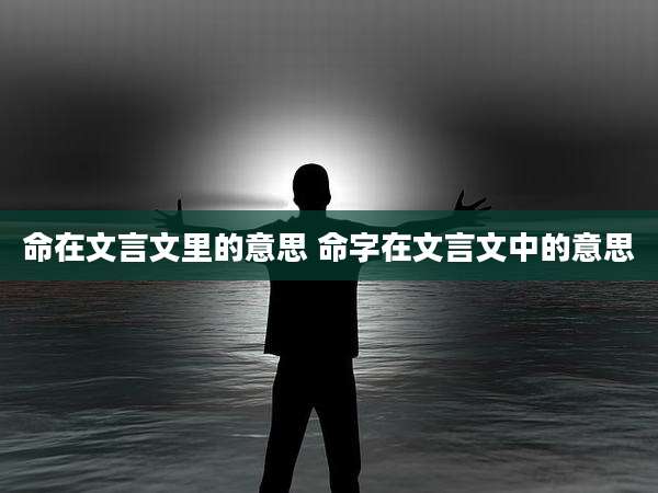命在文言文里的意思 命字在文言文中的意思