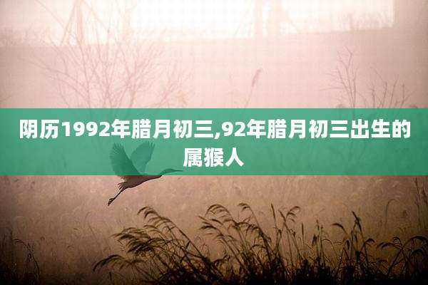 阴历1992年腊月初三,92年腊月初三出生的属猴人