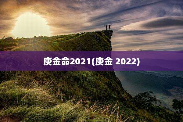 庚金命2021(庚金 2022)