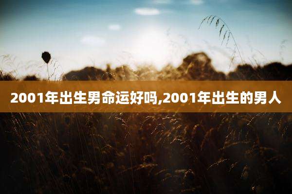 2001年出生男命运好吗,2001年出生的男人