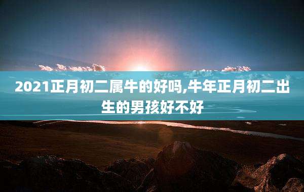 2021正月初二属牛的好吗,牛年正月初二出生的男孩好不好