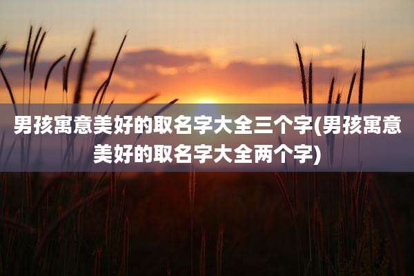 男孩寓意美好的取名字大全三个字(男孩寓意美好的取名字大全两个字)